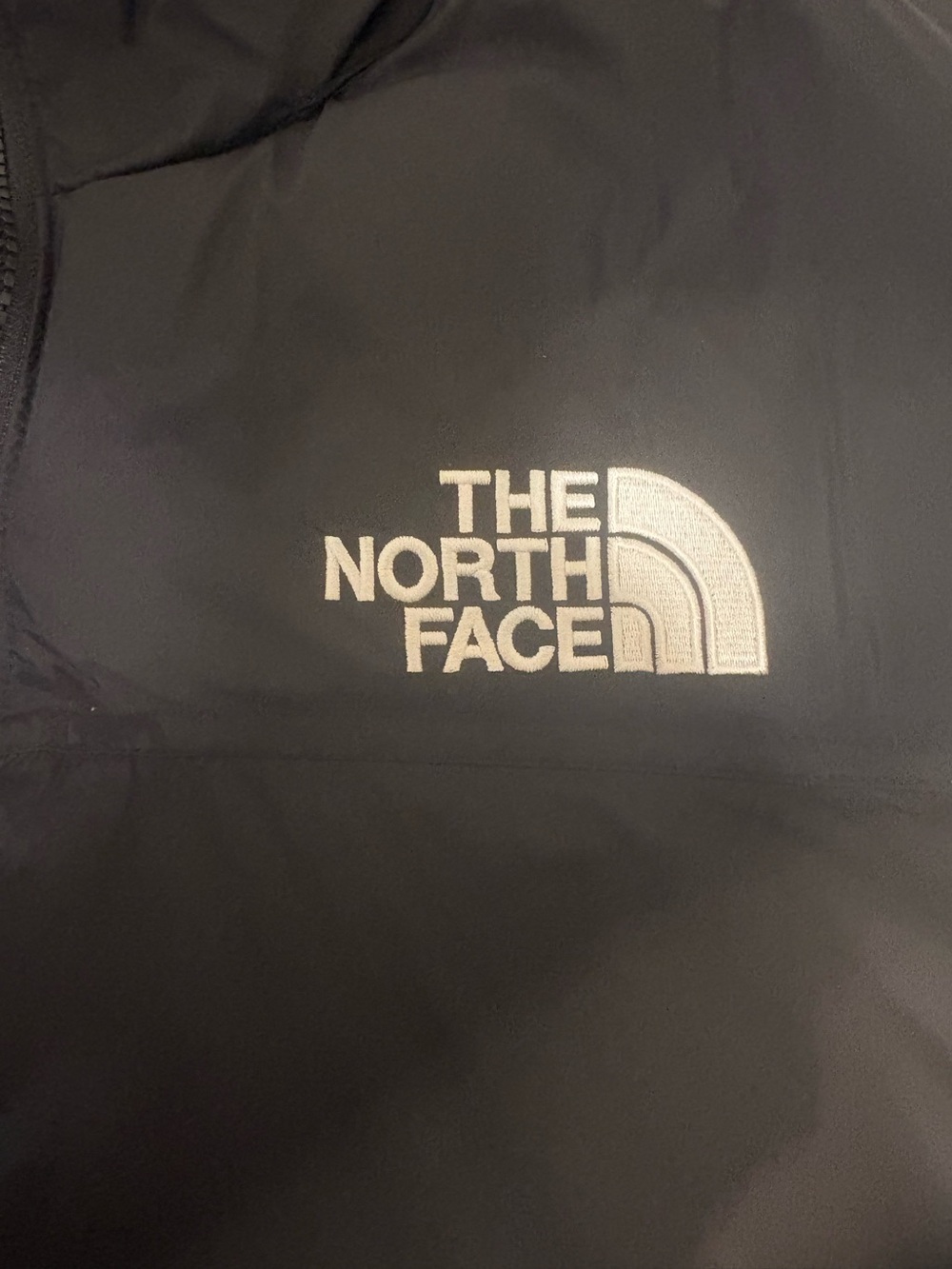 NWT The North Face
1996 Retro Nuptse 700
Down Jacket Black Men's Hoodie - Picture 5 of 16
